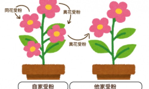 手臂与后背连接的地方叫什么-手臂与后背相连的地方出汗-专业手臂与后背相连的地方出汗怎么回事平台-手臂与后背连接处疼痛