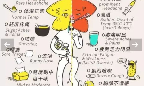 手臂和后背长痘痘图片-手臂与后背相连的地方出汗-专业手臂与后背相连的地方出汗怎么回事平台-手臂与后背连接处疼痛