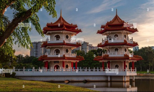 手臂与后背相连的地方出汗-专业手臂与后背相连的地方出汗怎么回事平台-手臂与后背连接处疼痛